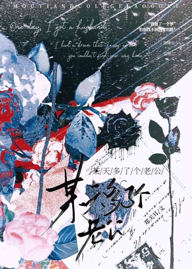 某天多了个老公