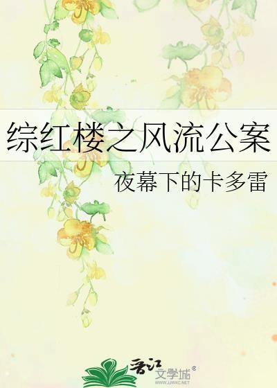 综红楼之风流公案