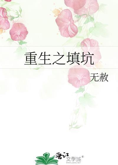 重生之填坑