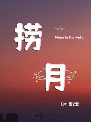 捞月