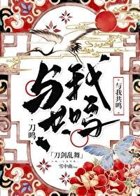 [刀剑乱舞]刀鸣，与我共鸣