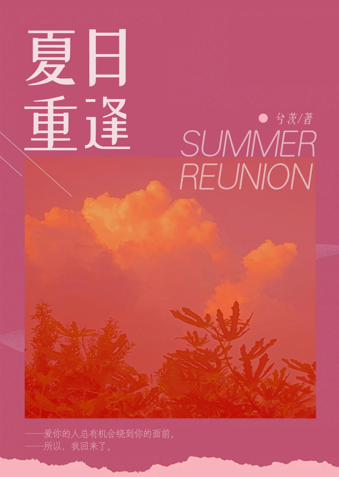 夏日重逢