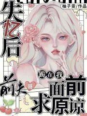 失忆后,前夫哥跪在我面前求原谅