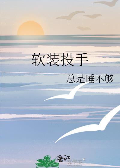 软装投手