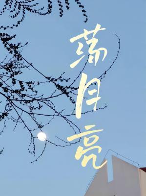 荡月亮