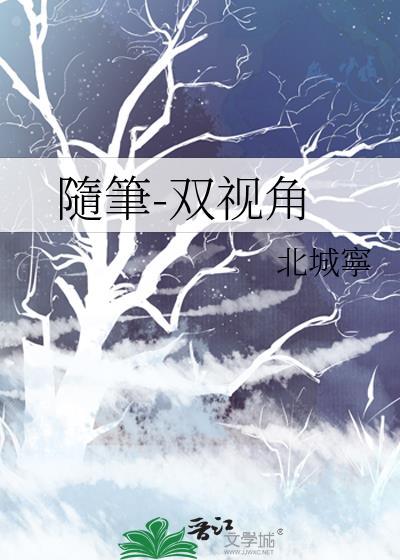 随笔-双视角