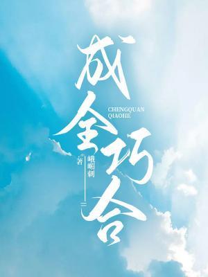 成全巧合