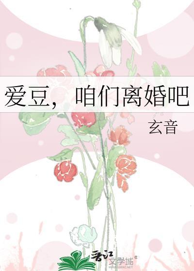 爱豆,咱们离婚吧