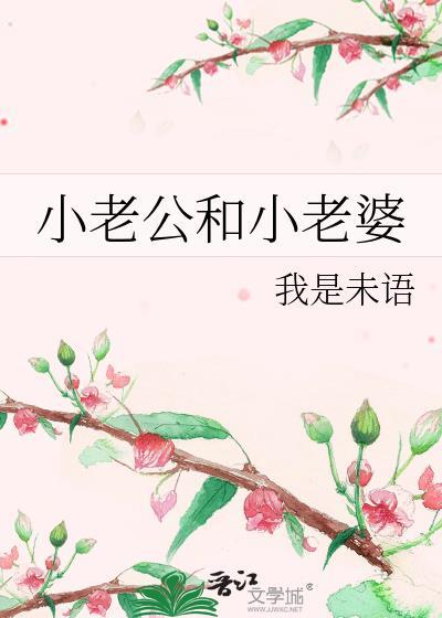 小老公和小老婆