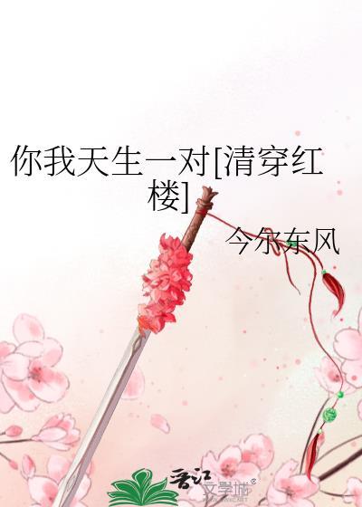 你我天生一对[清穿红楼]