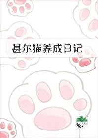 甚尔猫养成日记