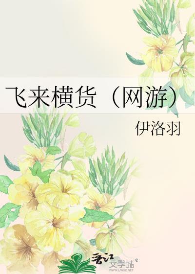 飞来横货(网游)