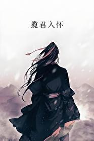 揽君入怀