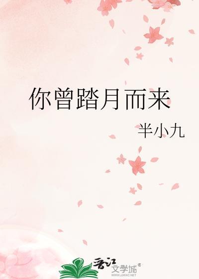 你曾踏月而来