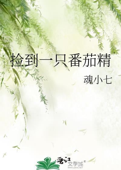 捡到一只番茄精