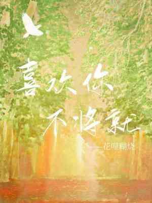 喜欢你,不将就