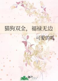 猫狗双全,福禄无边