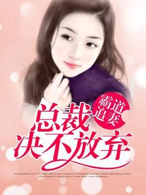 总裁追妻决不放弃