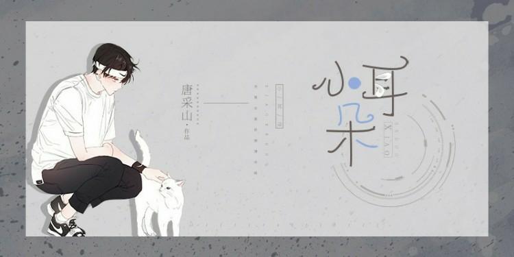 怀了总裁的孩子以后