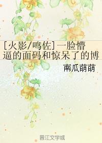 [火影鸣佐]一脸懵逼的面码和惊呆了的博人