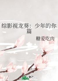 综影视龙葵:少年的你篇