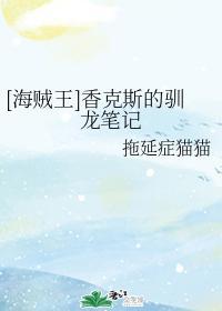 [海贼王]香克斯的驯龙笔记