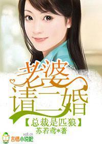 老婆，请再嫁一次