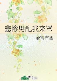 悲惨男配我来罩