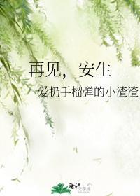 再见,安生