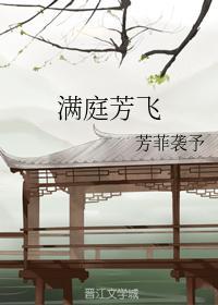 满庭芳飞