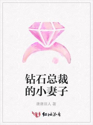 钻石总裁的小妻子