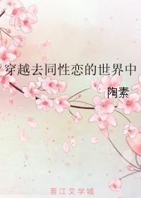 穿越去同性恋的世界中