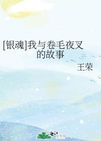 [银魂]我与卷毛夜叉的故事