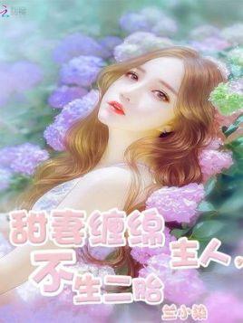甜妻缠绵:主人,不生二胎
