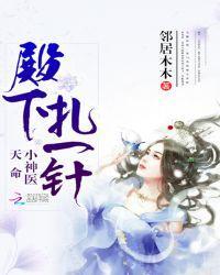 天命小神医:殿下,扎一针