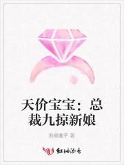 天价宝宝:总裁九掠新娘