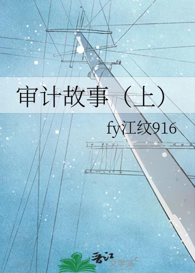 审计故事(上)
