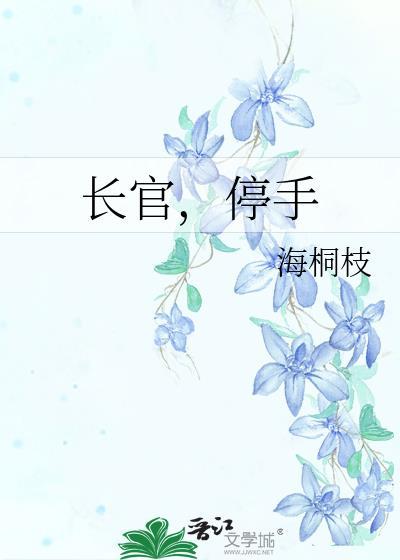 长官,停手