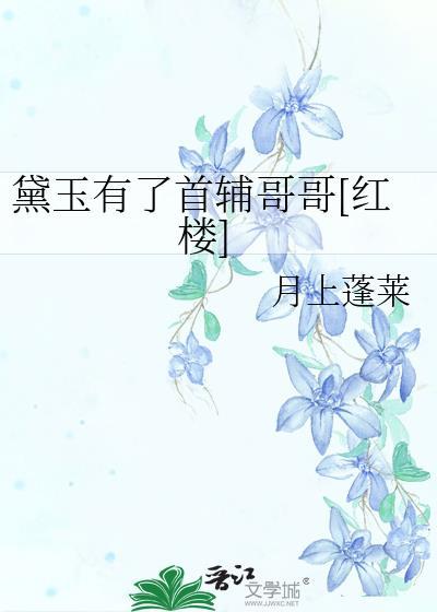黛玉有了首辅哥哥[红楼]