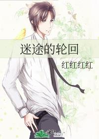 迷途的轮回