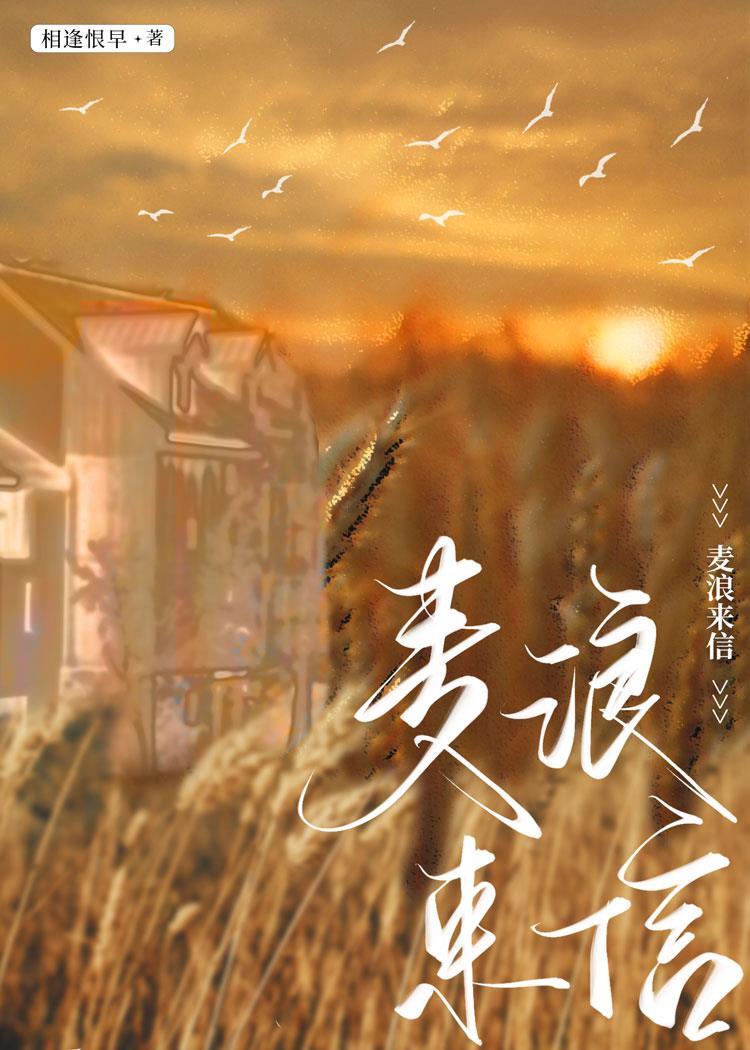 麦浪来信
