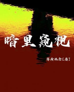 暗裏窥视