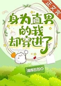身为直男的我却穿进了
