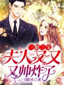 一胎三宝:夫人又又又帅炸了