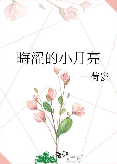 晦涩的小月亮
