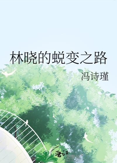 林晓的蜕变之路