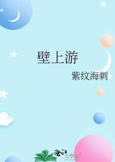 壁上游