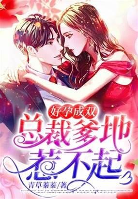 好孕成双,总裁爹地惹不起