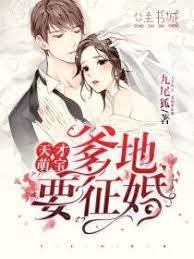 天才萌宝,爹地要征婚