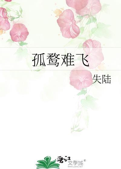孤鹜难飞